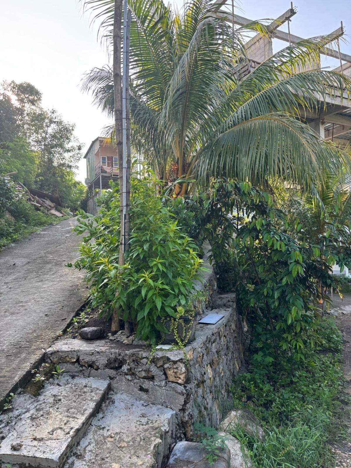 Tarsan Homestay Labuan Bajo Eksteriør billede